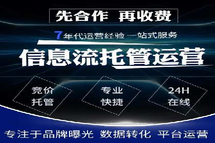 网络推广中竞价广告的投放策略及成功案例